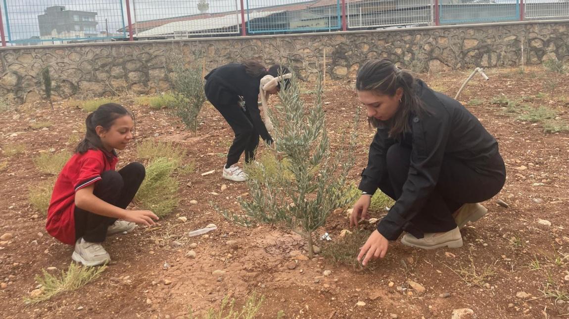 “Yeşil Vatan - Benim Okulum Geleceğe Çare” Projesi Kapsamında Mevlana Ortaokulu’nda Çevre Duyarlılığı Etkinlikleri